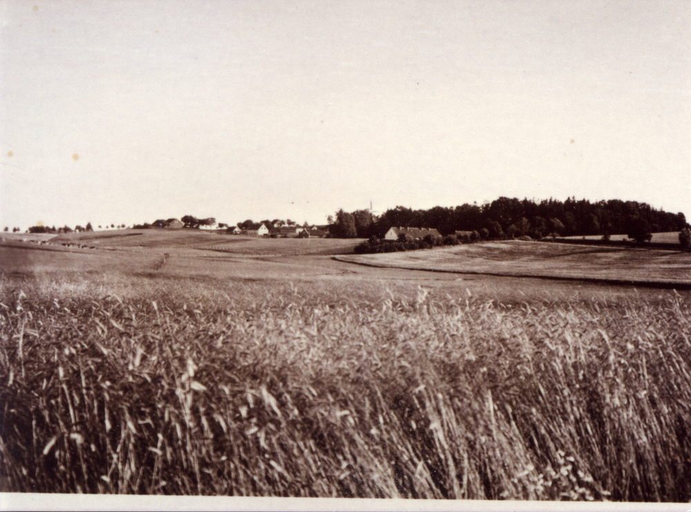 Grünwiese Kr. Heiligenbeil, Ort, Schule, Mühle, Insthäuser, Park