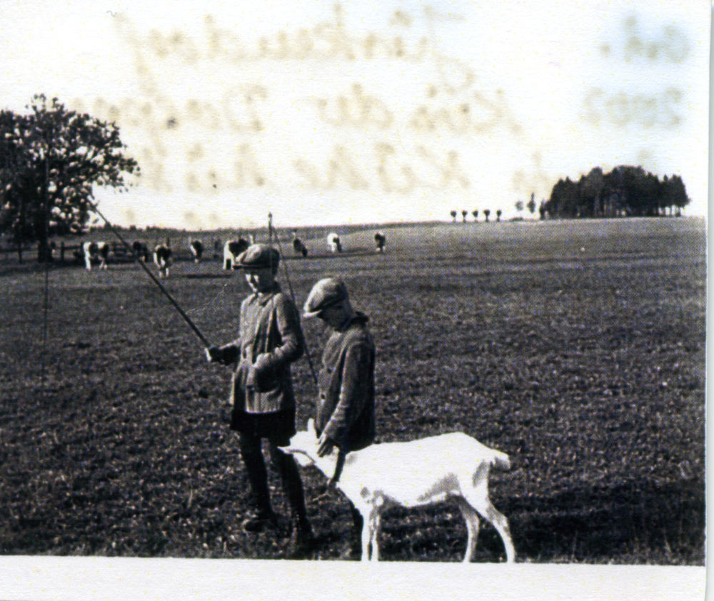 Jürkendorf, Hof Doepner, Kinder Doepner beim Kühehüten