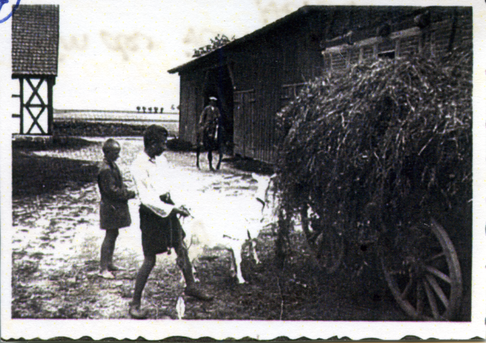 Jürkendorf, Hof Doepner, Kinder Hans und Herbert am Grünfutterwagen