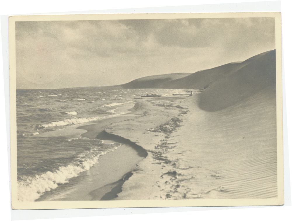 Kurische Nehrung, Dünenkette