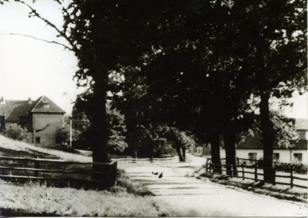 Groß Rödersdorf, Eichenallee, Schule links und Insthäuser rechts