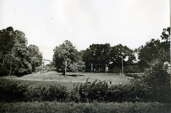 Groß Rödersdorf, Blick vom Dorf zum Gutshaus mit der Runde(n) Linde