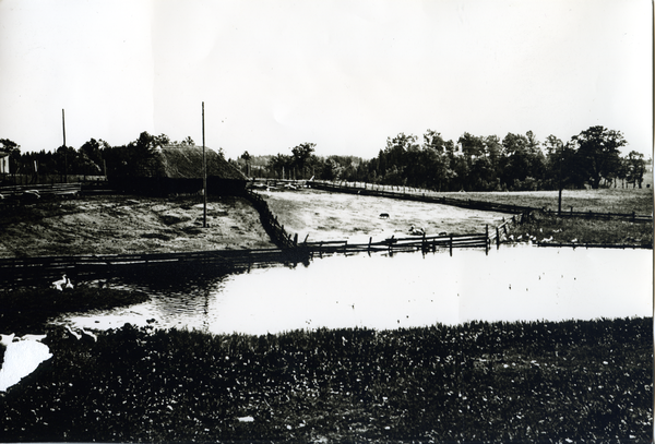 Groß Rödersdorf, Gut, "Schweine-Sommer-Villa" und Geflügelteich