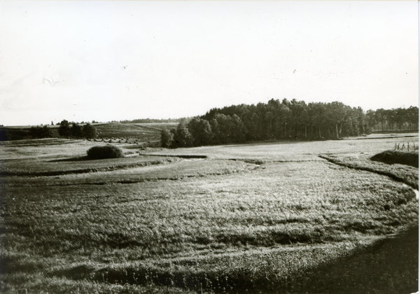 Groß Rödersdorf, Jarftwiesen