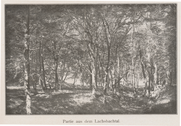 Neukuhren, Im Lachsbachtal