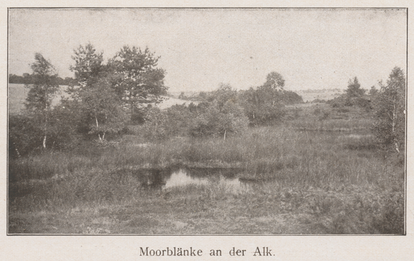 Alkgebirge, Moorblänke an der Alk