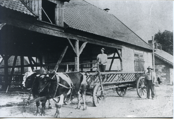 Klein Rödersdorf, Gut, Ochsengespann