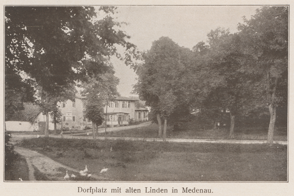 Medenau, Dorfplatz mit alten Linden