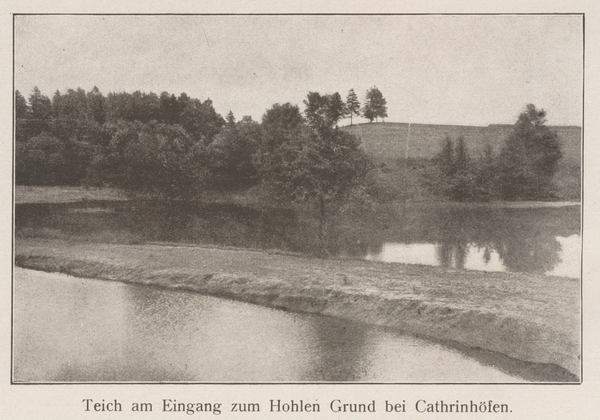 Kathrinhöfen, Teich am Eingang zum Hohlen Grund bei Kathrinhöfen