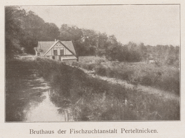 Perteltnicken, Bruthaus der Fischzuchtanstalt