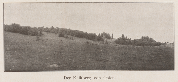 Der Kalkberg nördlich von Lauknicken von Osten