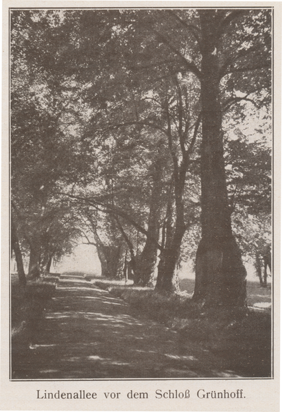 Grünhoff, Lindenallee vor dem Schloß