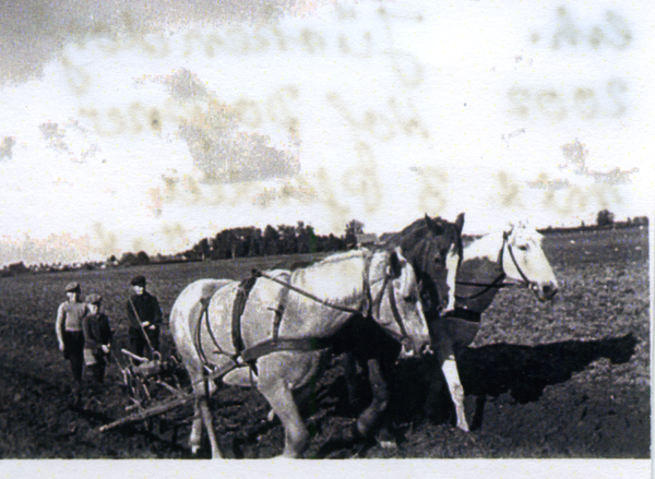 Jürkendorf, Hof Doepner