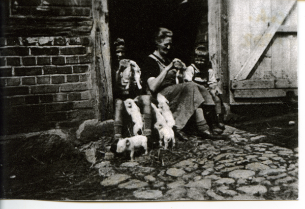 Jürkendorf, Hof Doepner, Ferkelaufzucht mit der Flasche