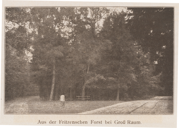 Groß Raum, Im Fritzenschen Forst bei Groß Raum