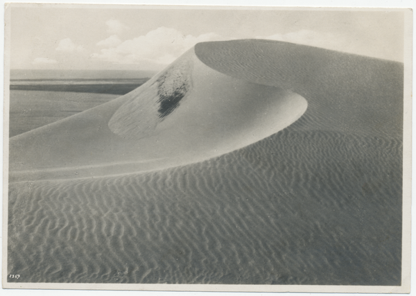 Kurische Nehrung, Wanderdüne