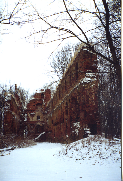 Balga (Весёлое), Burgruine (Winteraufnahme)